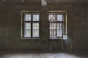 Window for Window by Perry Wiertz