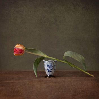 Versuchen Sie nicht, sich in 2