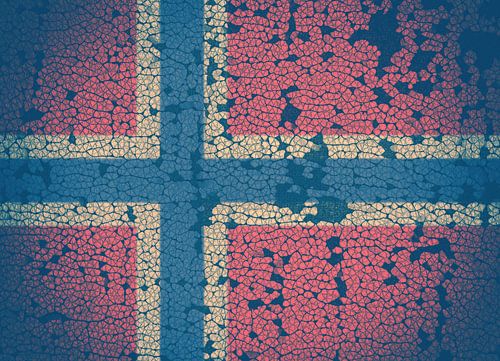 Vlag