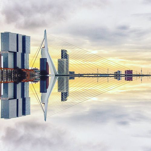 Rotterdam <> madrettoR