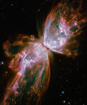 Hubble Spies a Butterfly van Digital Universe