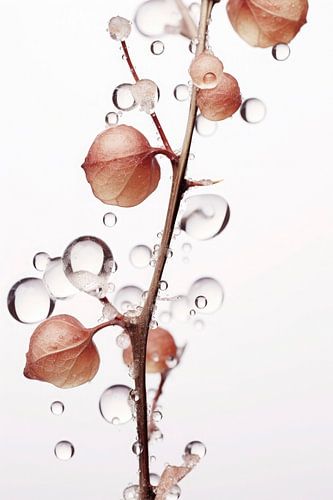 Drops On Leafs No 5