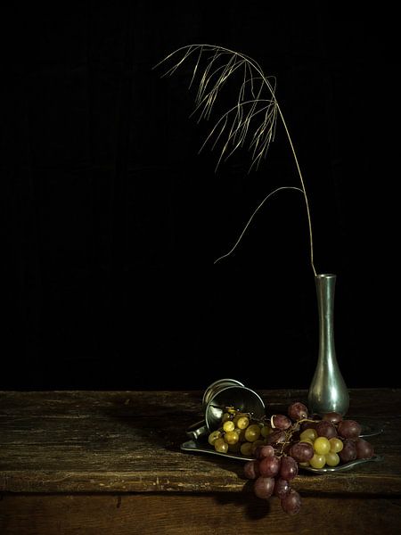 Grapes & grass van Miriam Meijer, en pleine campagne.....