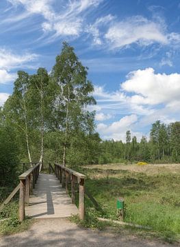 Naturschutzgebiet Ohligser Heide