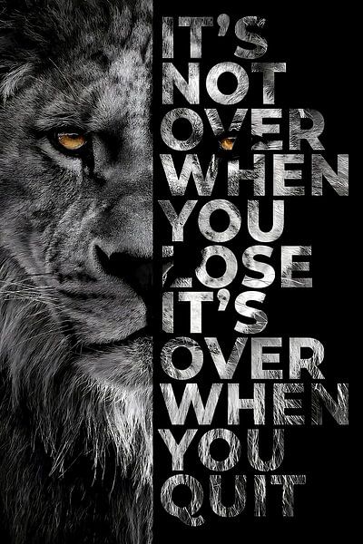 Löwe Tier Motivation von Quotes Motivation