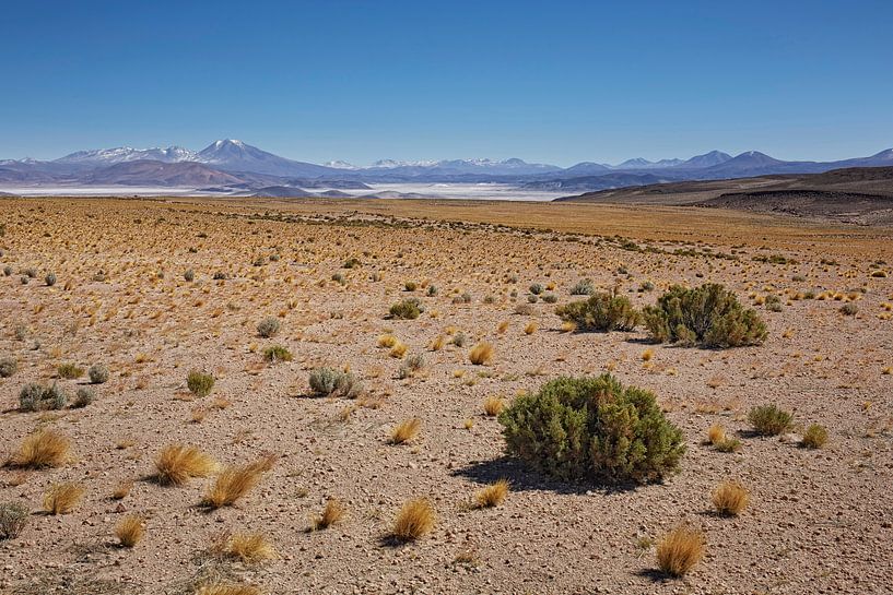 Blick über das Naturschutzgebiet Salar de Tara, San Pedro de Atacama, Chile von Tjeerd Kruse