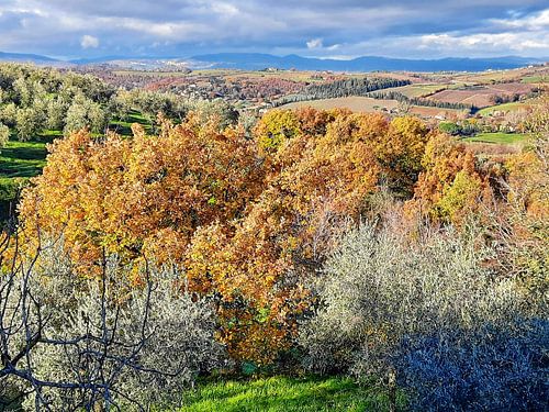 Winteruitzicht in Umbrië