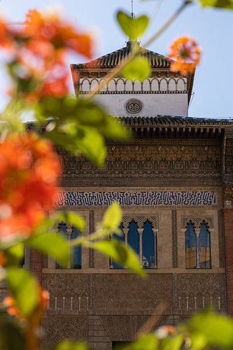 Sommerlicher Blick auf den Real Alcazar