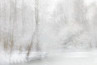 winter van Ingrid Van Damme fotografie thumbnail