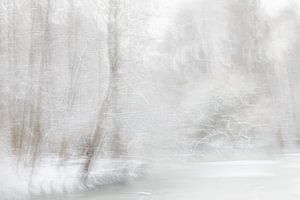 winter van Ingrid Van Damme fotografie