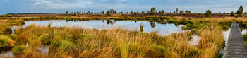 Herbst im Hohen Venn