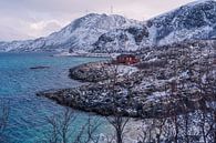 Een rood huisje aan de zee en bergen in Noorwegen van Kimberly Lans thumbnail