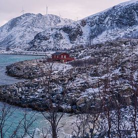 Un cottage rouge au bord de la mer et des montagnes en Norvège sur Kimberly Lans