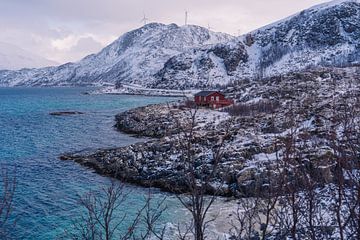 Een rood huisje aan de zee en bergen in Noorwegen