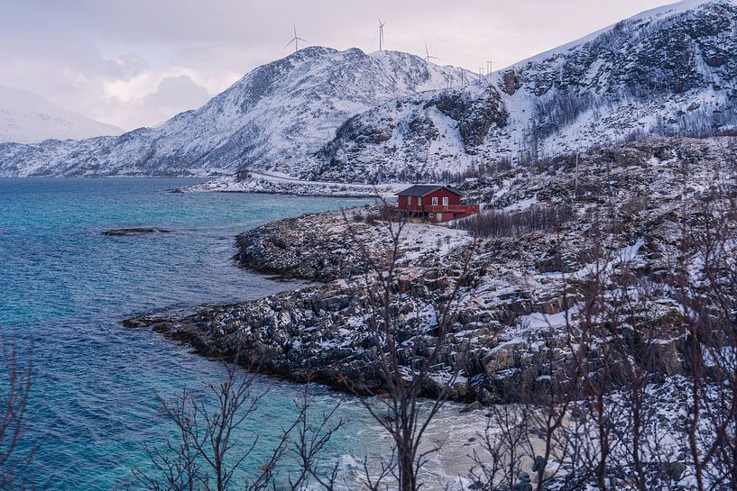 Een rood huisje aan de zee en bergen in Noorwegen van Kimberly Lans