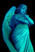 Angel Guard
