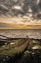 Dive spot Grevelingenmeer - Zealand by Mascha Boot thumbnail