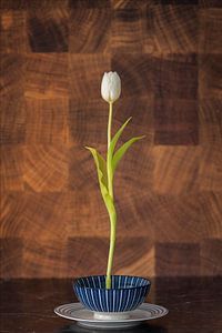 Dutch Ikebana 4. von Pieter van Roijen