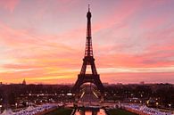 Eiffelturm bei Sonnenaufgang, Paris,  von Markus Lange Miniaturansicht