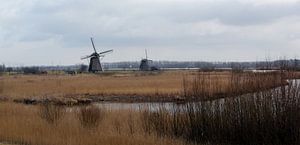 Windmills in Kinderdijk sur Yvonne Blokland