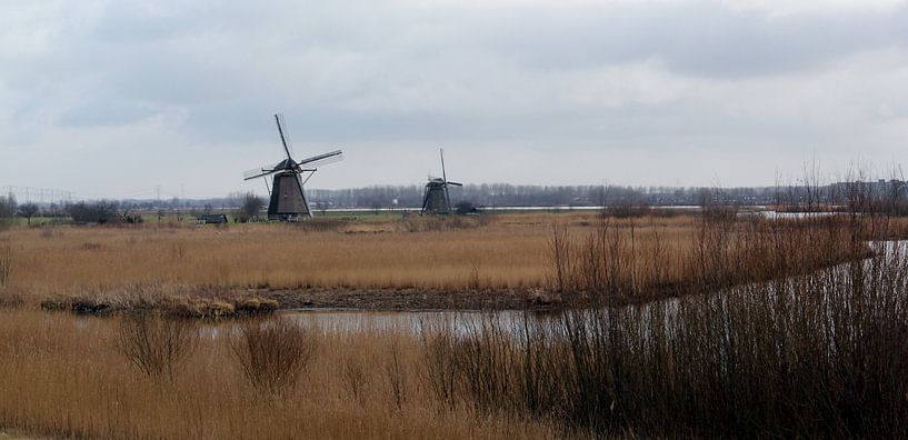 Windmills in Kinderdijk von Yvonne Blokland