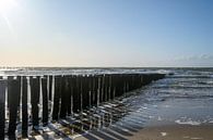 Beach of Zoutelande by Lieselotte Stienstra thumbnail
