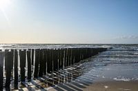 Beach of Zoutelande