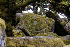 Wistman's wood