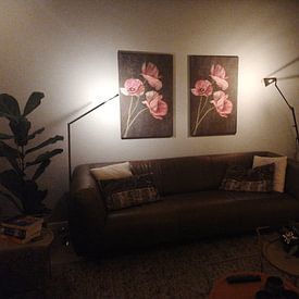 Klantfoto: Stilleven bloem klaproos van Alie Ekkelenkamp, op canvas