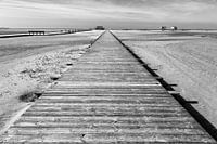Saint Peter Ording