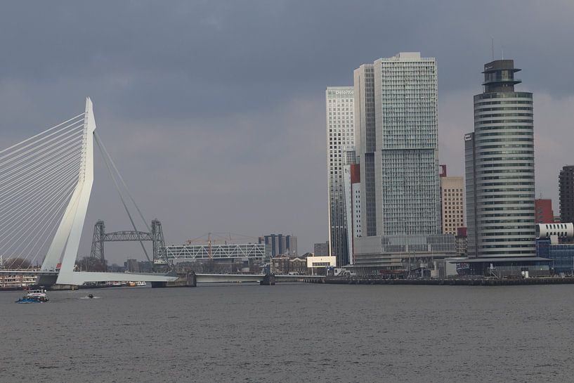 Erasmusbrug Rotterdam van Dick Schouten