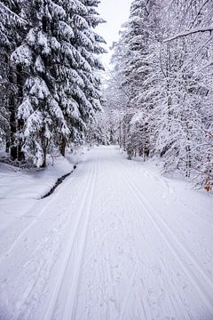 Langlaufen in het besneeuwde Thüringer Woud bij Floh-Seligenthal - Thüringen - Duitsland van Oliver Hlavaty