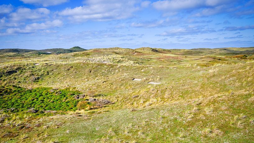 dunes dans la réserve naturelle de Zwanenwater par eric van der eijkj