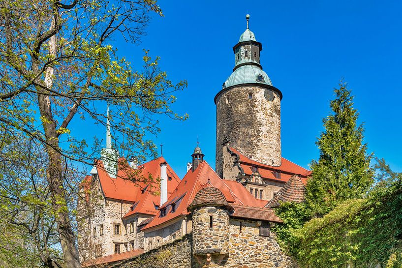 Burg Tzschocha, Polen van Gunter Kirsch