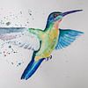 Kolibri im Flug, Aquarell. von Janny Beimers