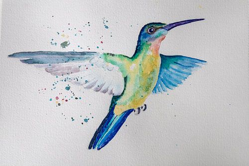 Colibri en vol, aquarelle.