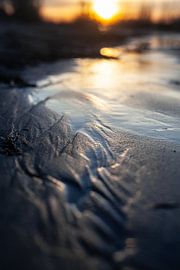 Shore of the River Waal by SPIRIT OF NATURE - Chris Lindhout