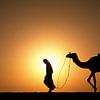 Sahara desert. Bedouin with camel at sunset by Frans Lemmens