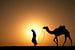 Le désert du Sahara. Bédouin avec chameau au coucher du soleil sur Frans Lemmens