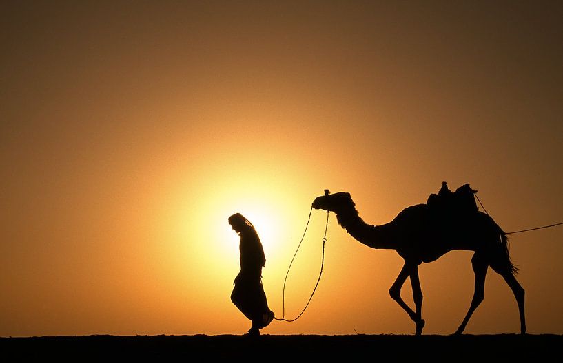 Le désert du Sahara. Bédouin avec chameau au coucher du soleil par Frans Lemmens