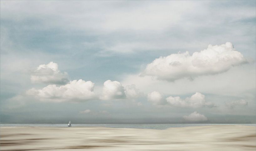 Tracking the coastline van Gilbert Claes