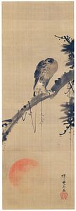 Kawanabe Kyōsai - Falke auf einem Kiefernzweig und die aufgehende Sonne