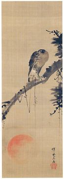 Kawanabe Kyōsai - Falke auf einem Kiefernzweig und die aufgehende Sonne von Peter Balan