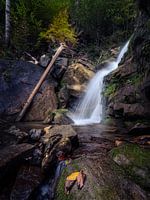 Chute d'eau dans le Leybachtobel I