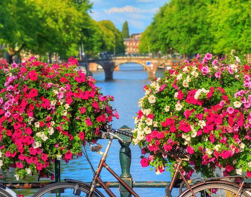 Bloemen op de gracht in Amsterdam