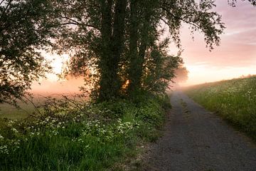 Zonsopgang van Marinella Geerts