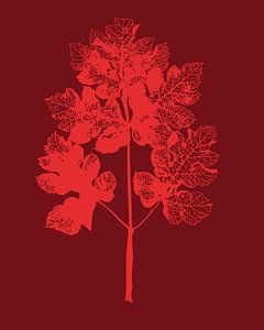 Pink Leaf | Pattern | Contrast | Nature | Illustration by Jansje Kamphuis