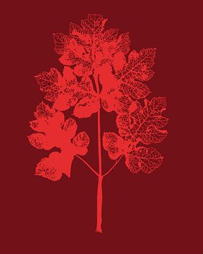 Roze Blad | Patroon | Contrast | Illustratie van Jansje Kamphuis