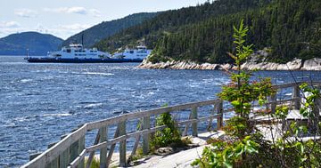 Der Fluss Saguenay im Sommer von Claude Laprise