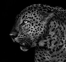 Sans titre sur Liwen Tao